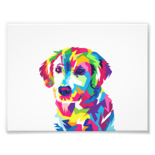 Funny Puppy colorful - Kies achtergrondkleur Foto Afdruk