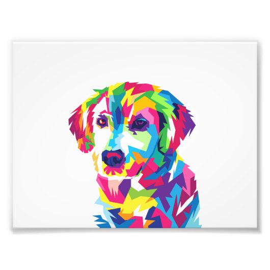 Funny Puppy colorful - Kies achtergrondkleur Foto Afdruk (Voorkant)