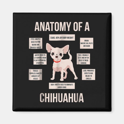 Funny Puppy Gift Anatomie van een Chihuahua Magneet (Voorkant)