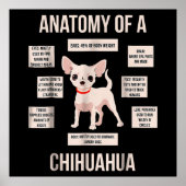 Funny Puppy Gift Anatomie van een Chihuahua Poster (Voorkant)