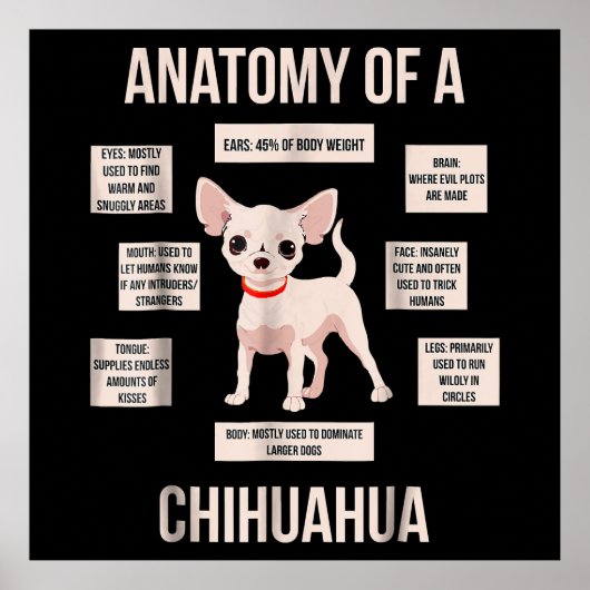 Funny Puppy Gift Anatomie van een Chihuahua Poster (Voorkant)