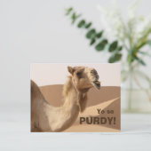 Funny Purdy Camel Foto Briefkaart (Staand voorkant)
