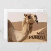 Funny Purdy Camel Foto Briefkaart (Voorkant / Achterkant)