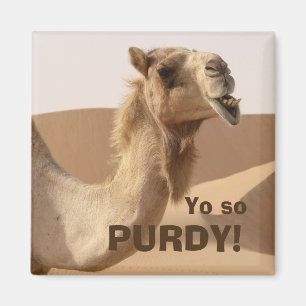 Funny Purdy Camel Foto Magneet