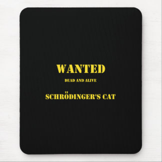 Funny Quantum Joke: Schrödinger’s Cat on the Loose Muismat