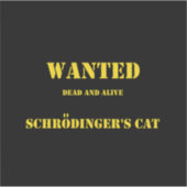 Funny Quantum Joke: Schrödinger’s Cat on the Loose Sticker (Voorkant)