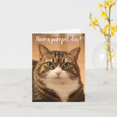 Funny Quote Cat Lovers Custom Photo Birthday Kaart (Gele Bloem)