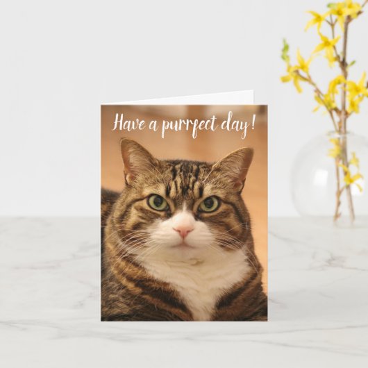 Funny Quote Cat Lovers Custom Photo Birthday Kaart (Gele Bloem)