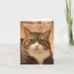 Funny Quote Cat Lovers Custom Photo Birthday Kaart<br><div class="desc">Grappig citaat Pun Cute Cat Lovers Custom foto Birthday Kaart: Prachtige tabby cat die in de camera voor de foto staart. "Heb een doeldag" staat aan de voorkant, de tekst is volledig bewerkbaar, en ook de kattenfoto, zodat je de foto van je eigen kat kunt gebruiken. U kunt het bericht...</div>