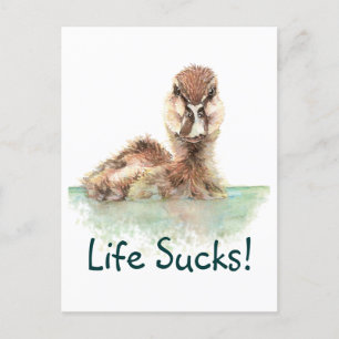Funny Quote, Life Sucks, Angry Duck, Bird Square S Briefkaart