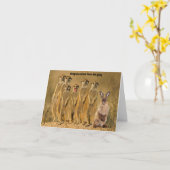 Funny Rabbit Meerkat Gefeliciteerd Kaart (Gele Bloem)