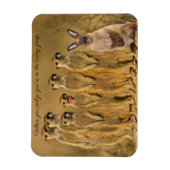Funny Rabbit Meerkat Magnet Magneet (Verticaal)