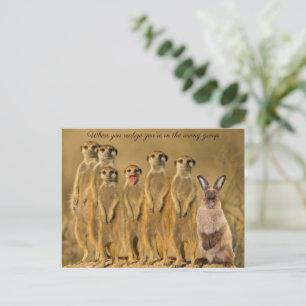 Funny Rabbit Meerkat Post Card Afbeelding Feestdagenkaart