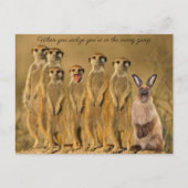 Funny Rabbit Meerkat Post Card Afbeelding Feestdagenkaart (Voorkant)