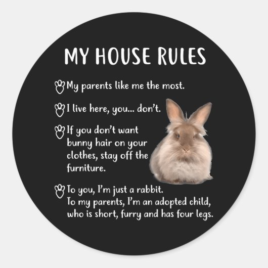 Funny Rabbit My House Regels Lionhead Bunny Ronde Sticker (Voorkant)