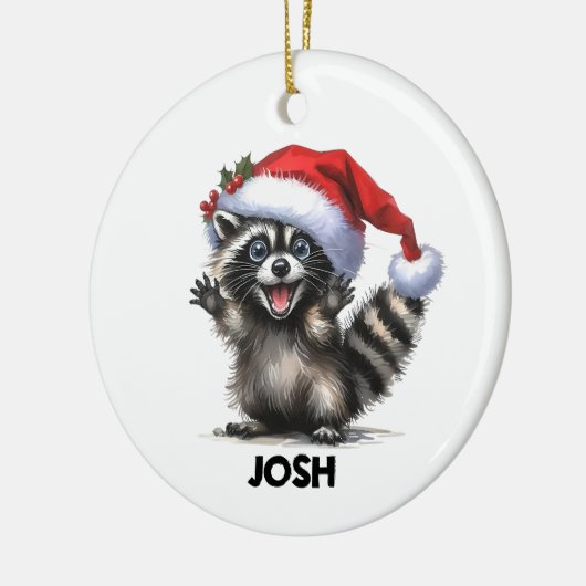 Funny Raccoon Ornament (Links)