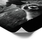 Funny Raccoon Selfie With Bigfoot 67 Six Seven Mem Poster (Hoek)