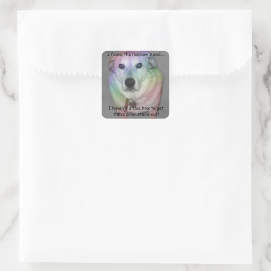 Funny Rainbow Pooch Sticker (Tas)