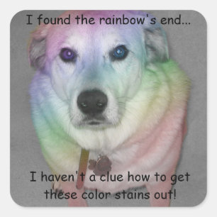Funny Rainbow Pooch Sticker