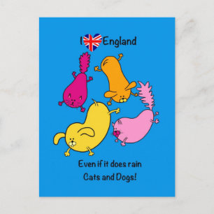 Funny Raining Cats and Dogs cartoon, hou van Londe Briefkaart