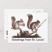 Funny Rally Squirrel Greetings uit St. Louis! Briefkaart (Voorkant / Achterkant)