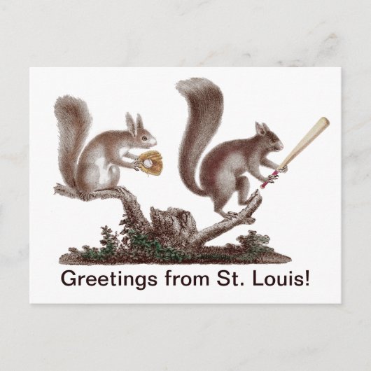 Funny Rally Squirrel Greetings uit St. Louis! Briefkaart (Voorkant)