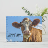 Funny Ranch Boerderij Land Westerne Koe Feestdagenkaart (Staand voorkant)