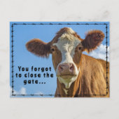 Funny Ranchers Junk Mail Country Westerne Tales Briefkaart (Voorkant)