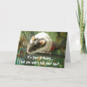 Funny rat foto verjaardagskaart kaart (Voorkant)
