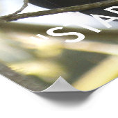 Funny Raven Wildlife Foto Poster (Hoek)