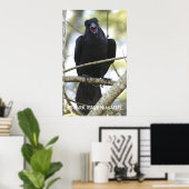 Funny Raven Wildlife Foto Poster (Thuiskantoor)