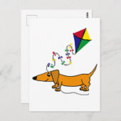 Funny Red dachshund Flying Kite Cartoon Briefkaart (Voorkant / Achterkant)