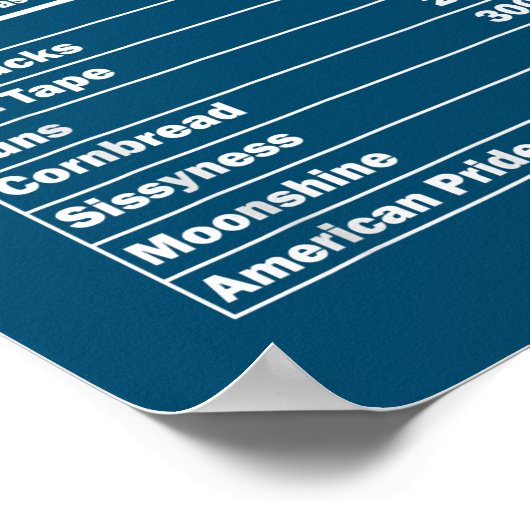 Funny Rednek Nutrition Feit 4 van juli land Poster (Hoek)