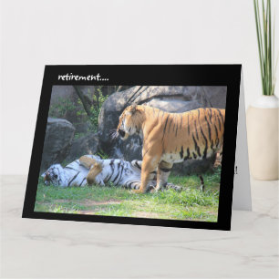 Funny Retirement Card, slaaptijger Kaart