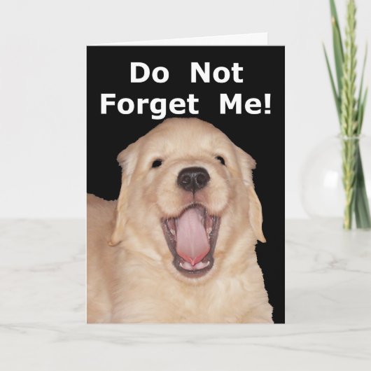 Funny Retirement Gefeliciteerd Wenskaart Kaart (Voorkant)