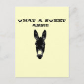 Funny Retro Donkey SweetAss Briefkaart (Voorkant)