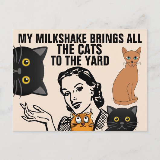 FUNNY RETRO HUUSEWIFE CAT LOVER BRIEFKAARTEN (Voorkant)