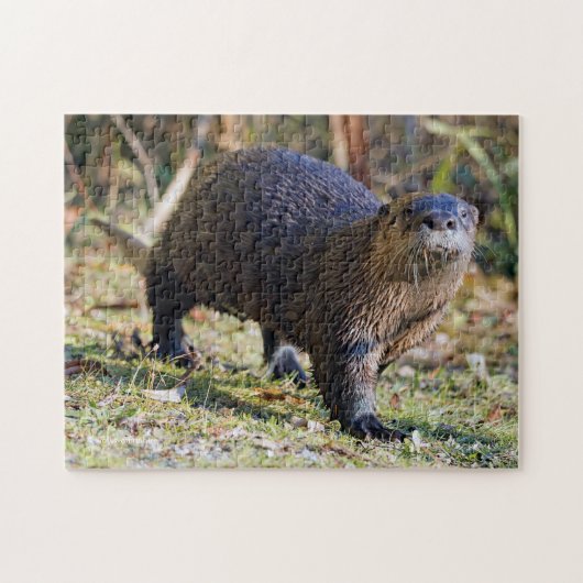 Funny River Otter uit Water Stanley Park Lagoon Legpuzzel (Horizontaal)
