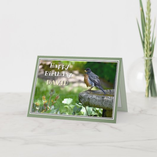 Funny Robin Birthday-kaart Feestdagen Kaart (Voorkant)