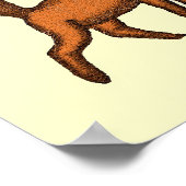 Funny robot en poster voor katten (Hoek)