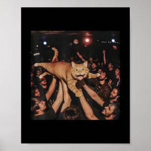 Funny Rock Show Cat Meme Schattige Tabby Kitten Cr Poster