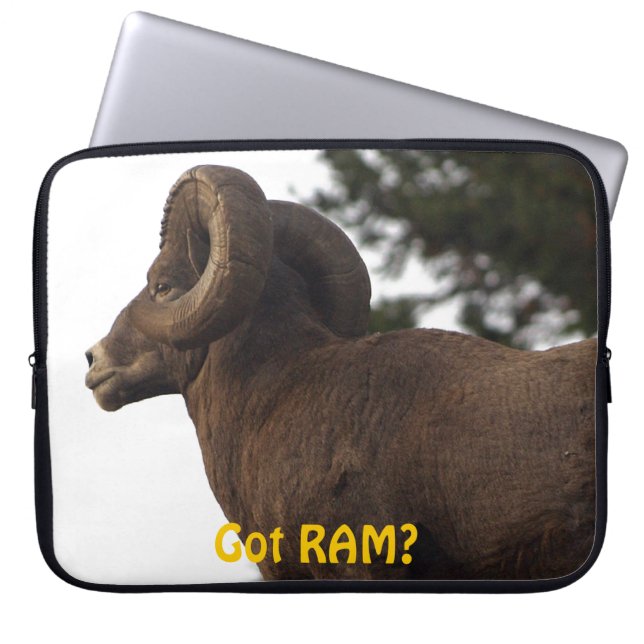 Funny Rocky Mountain Wild Big Horn Sheep Laptop Sleeve (Voorkant)