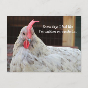 Funny Rooster met Gezegde Briefkaart