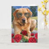 Funny Rozen zijn Red Poem Golden Labrador Kaart (Gele Bloem)