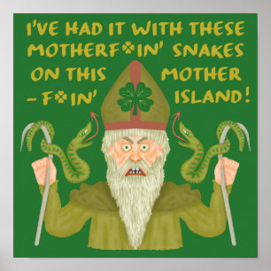 Funny Saint Patrick's Day Sakes Joke Green Irish Poster