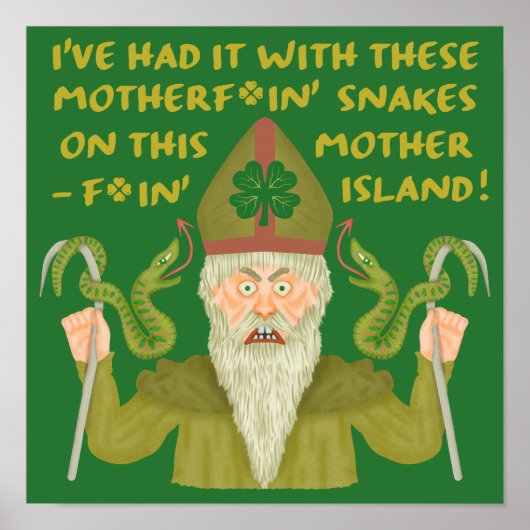Funny Saint Patrick's Day Sakes Joke Green Irish Poster (Voorkant)