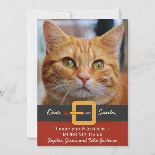 Funny Santa Cat Meer Spint Minder Zijn Foto Feestdagenkaart (Voorkant)