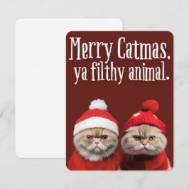 Funny Santa Cats Holiday Greeting Feestdagenkaart