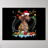 Funny Santa Dachshund Reindedarlicht Kerstmis Poster (Voorkant)