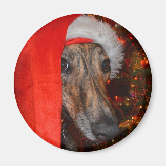 Funny Santa Dog - Lurcher Greyhound Christmas Pet Magneet